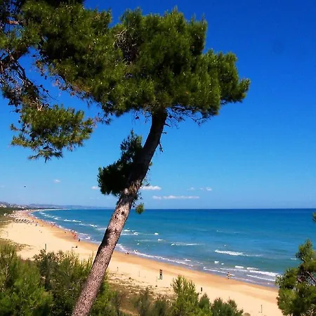 Mango Apartament Pineto