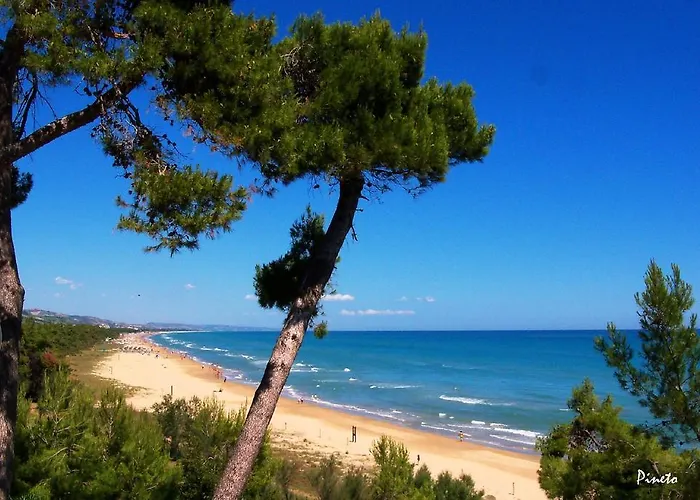 Mango 公寓 皮内托